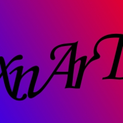 AMIR XNART