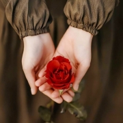 م فرجی