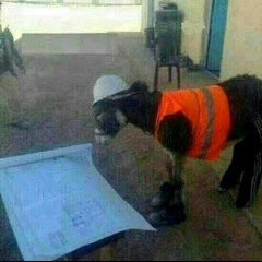 خندونه