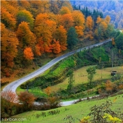 یوسف جوادنژادیزدی